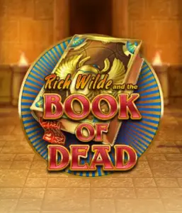 Enter the thrilling world of Book of Dead Slot by Play'n GO, presenting vivid graphics of Rich Wilde’s adventurous journey through ancient Egyptian tombs and artifacts. Uncover lost riches with captivating mechanics like free spins, expanding symbols, and a gamble option. Ideal for those seeking adventure with a desire for unearthing secrets.